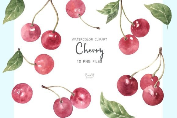 Cherry Watercolor Clipart: An Embroidery Designer’s Review