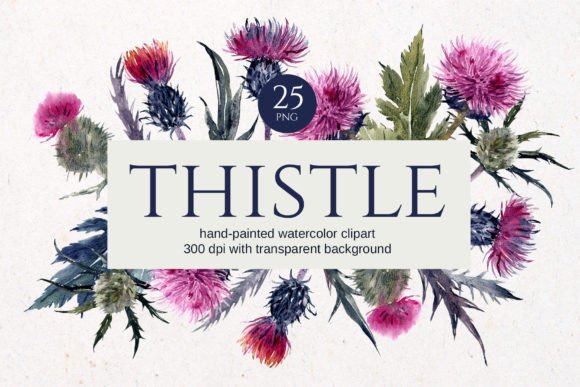 Elegant Thistle Watercolor Floral Clipart for Sophisticated Brand Illustrations