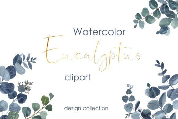 Eucalyptus Leaves Clipart Watercolor Png Illustrations