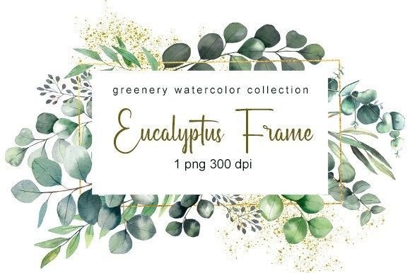 Eucalyptus Watercolor Clipart PNG for Illustrations