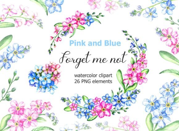 Forget Me Not Watercolor Floral Clipart Illustrations