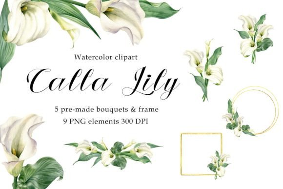 h1Watercolor Floral Bouquet Calla Lily PNG Illustration Review for Branding and Marketing Visuals/h1