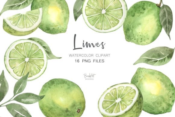 Limes Watercolor Clipart: Citrus Illustrations for Sellers