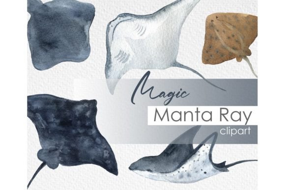 Ocean Clipart Watercolor Manta Ray Illustrations