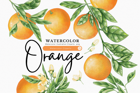 Orange Watercolor Clipart: A Vibrant Illustration for Bloggers & Digital Publishers