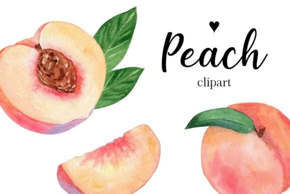 Peach Watercolor Clipart: A Fresh Illustration for Bloggers and Digital Publishers