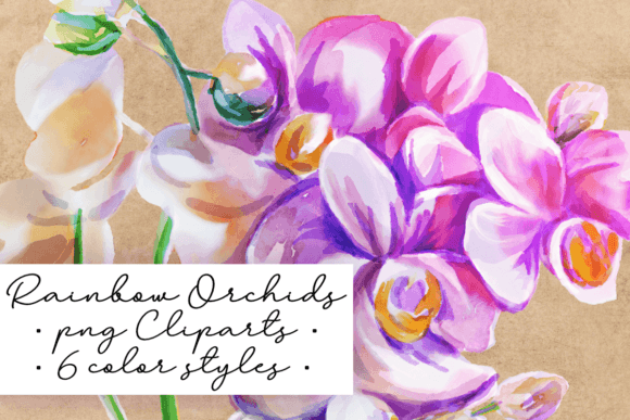 Rainbow Watercolor Orchid Pride Illustrations Review