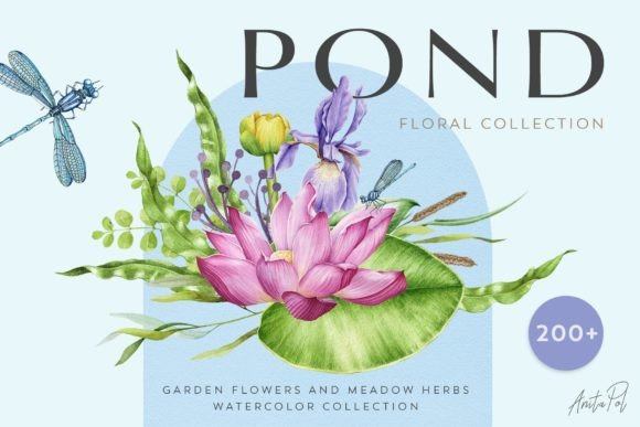 Spring Flower Pond Illustrations: A Designer Review
