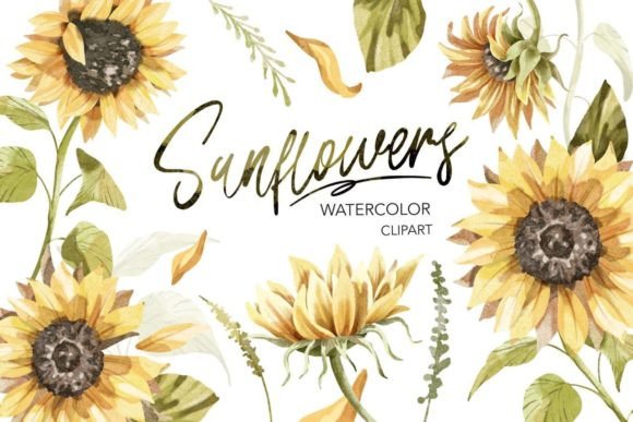 Sunflowers Watercolor Clipart for Summer Crafting Magic