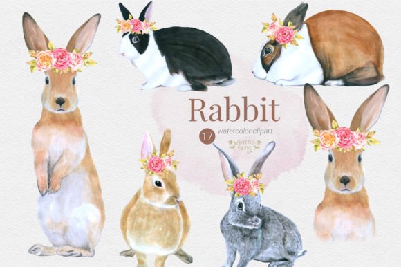 Testing Rabbit Watercolor Animal Character, PNG for Etsy & Print-on-Demand Success