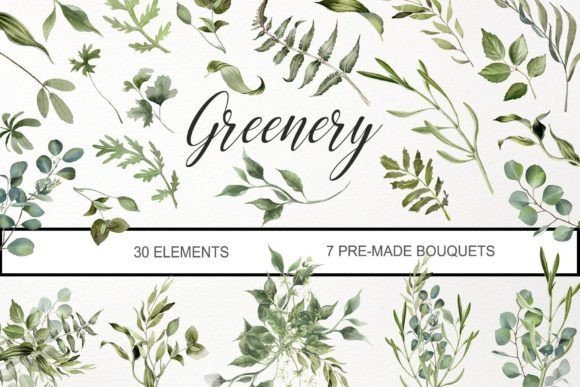 Watercolor Greenery Clipart: Eucalyptus Illustrations