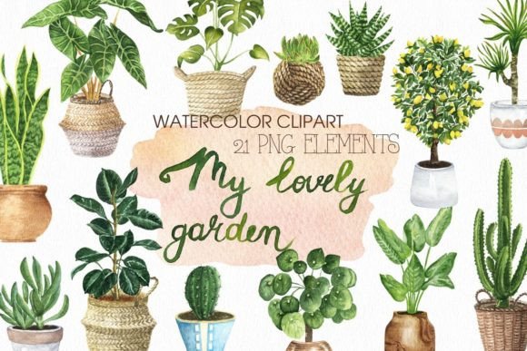 Watercolor House Plants Clipart: Illustrations for Crafters