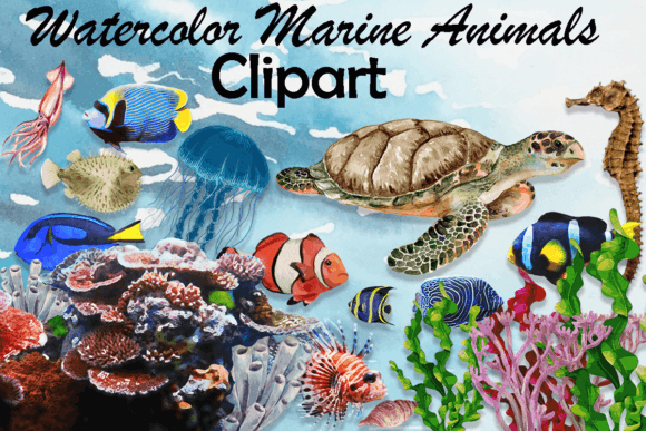 Watercolor Marine Animals Clipart Illustrations Review