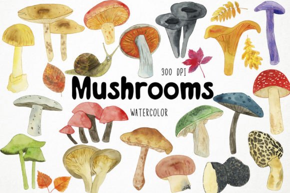 Watercolor Mushrooms Clipart & Fungi Illustrations for Crafters and Etsy Sellers