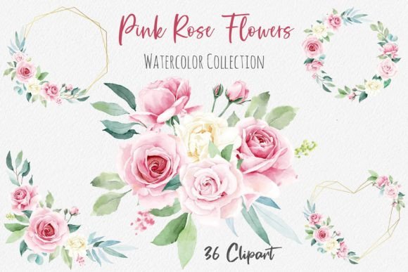 Watercolor Rose Flowers Collection Illustrations