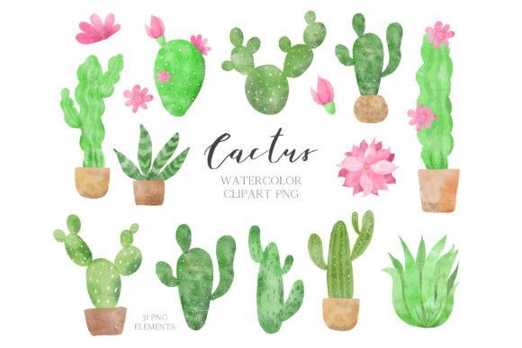 Watercolor Tropical Cactus Illustrations for Crafters & Handmade Sellers